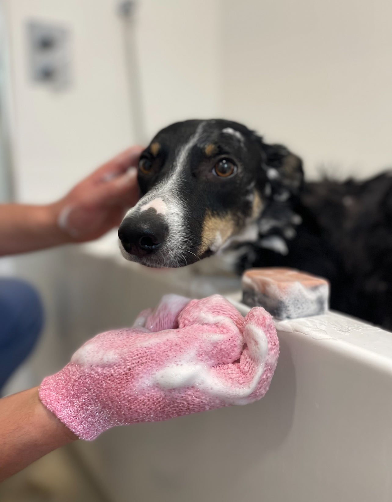 Allergy Relief Shampoo with Rose & Vanilla