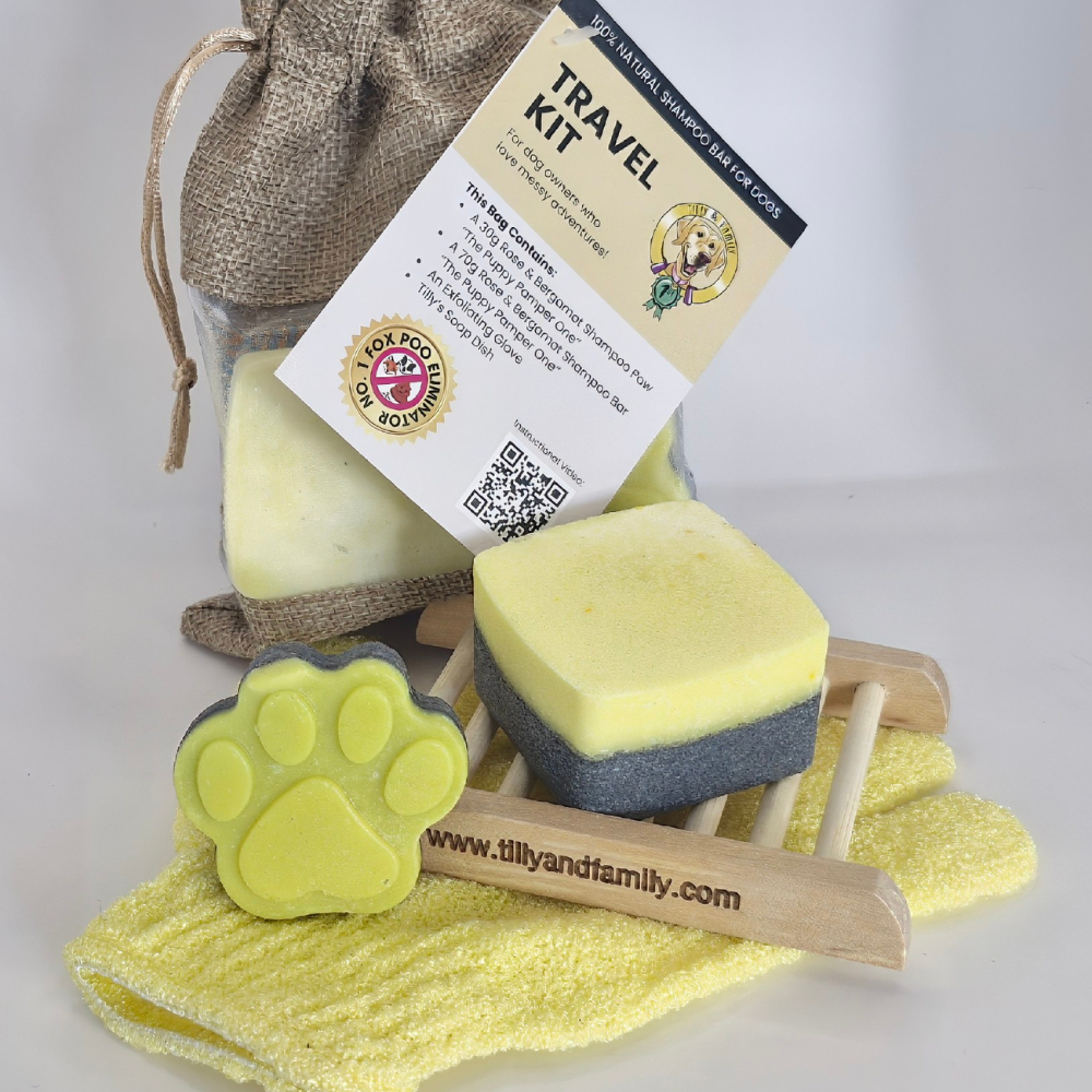 New | Travel Kits