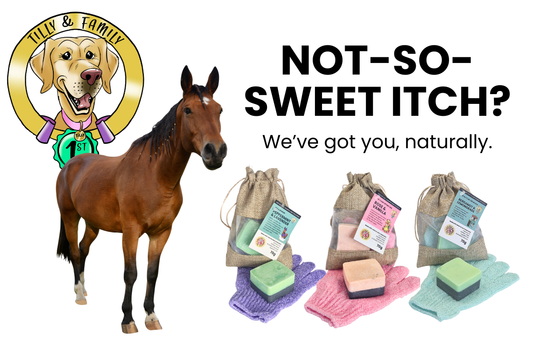 Not-So-Sweet Itch