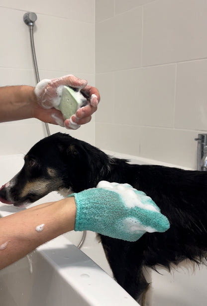 Image of a dog in bath being washed with Lemongrass and Bergamot dog shampoo bar and green exfoliating glove